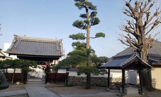 専福寺 のうこつぼ