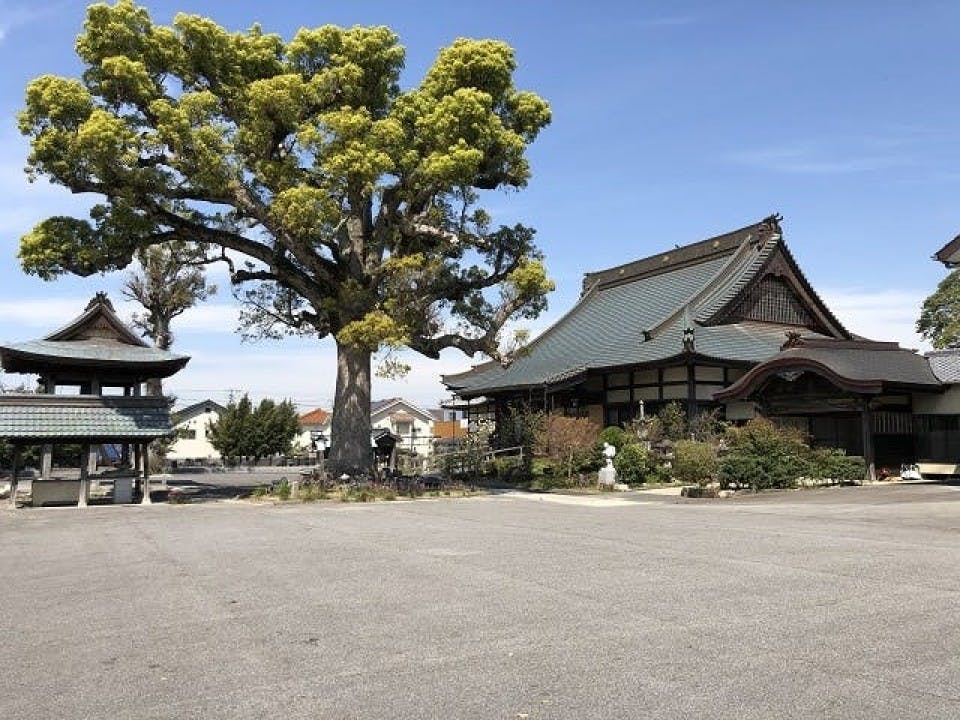圓福寺墓地 樹木葬霊園「あん樹」