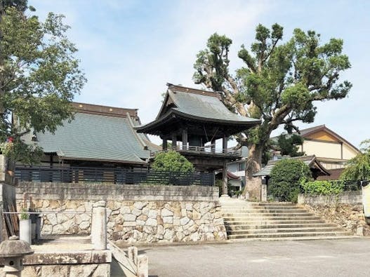 圓福寺墓地 樹木葬霊園「あん樹」