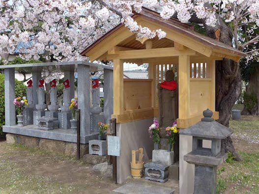 玄珊墓苑  樹木葬 永代供養墓「菩提」