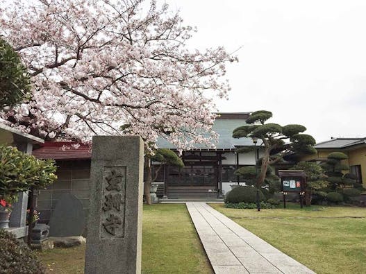 玄珊墓苑  樹木葬 永代供養墓「菩提」