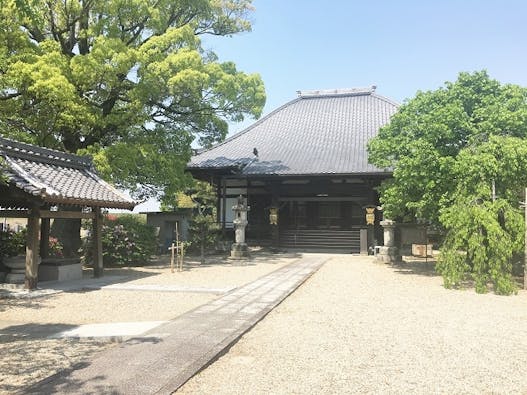 正願寺墓地 樹木葬