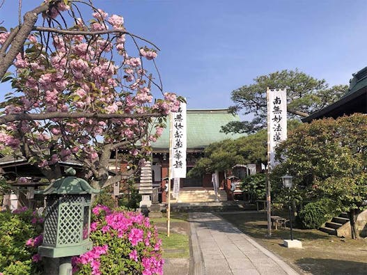 樹木葬墓地「令和の杜 金沢八景」