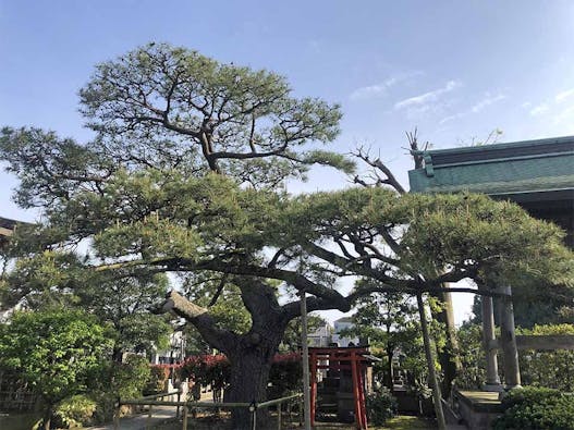 樹木葬墓地「令和の杜 金沢八景」