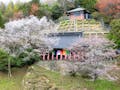 阿字のふる里 永代供養墓 春には桜が咲き、自然豊かな環境の中で穏やかにお過ごしいただけます。