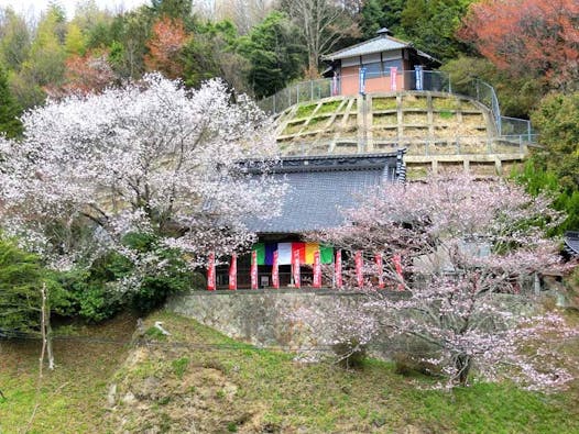 阿字のふる里 永代供養墓