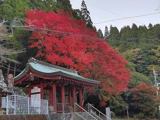霊山浄土(永代供養墓)