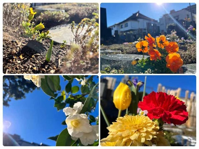 プレミアム中野樹木葬墓地