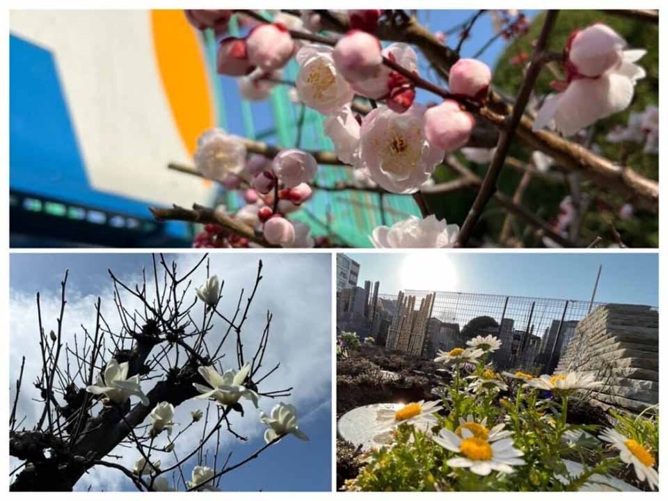 プレミアム中野樹木葬墓地