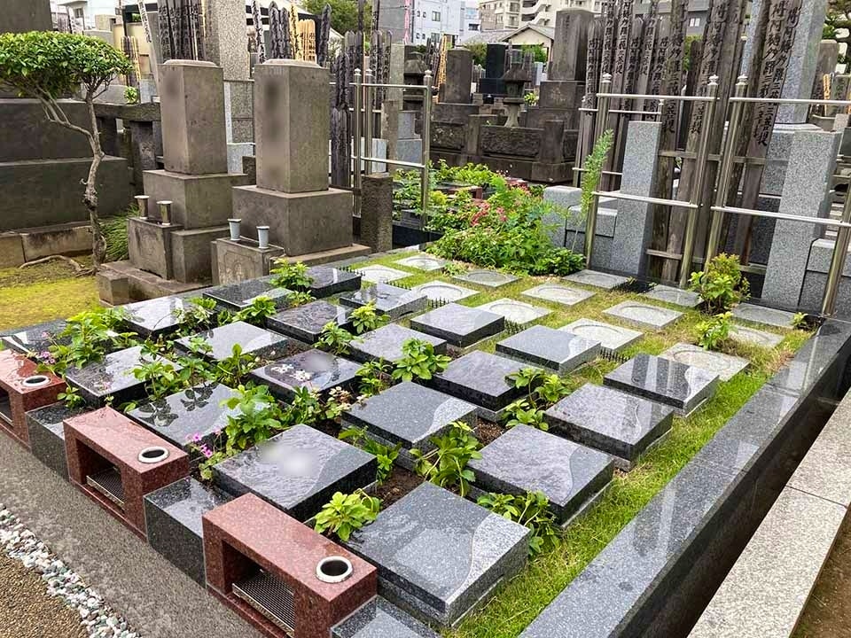 プレミアム西巣鴨まごころ樹木葬墓地