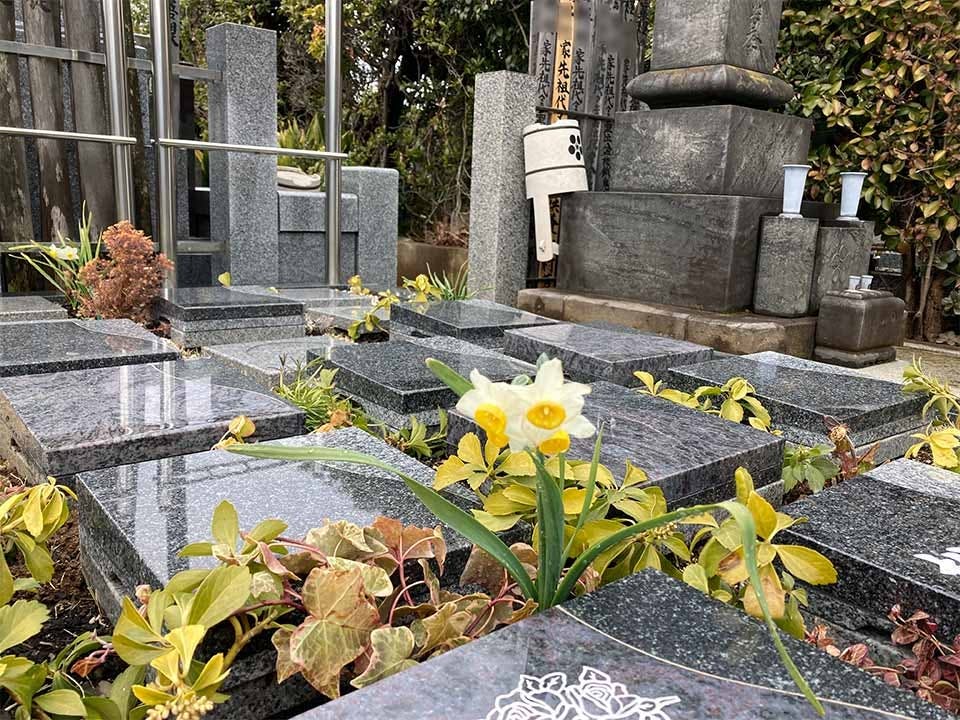 プレミアム西巣鴨まごころ樹木葬墓地