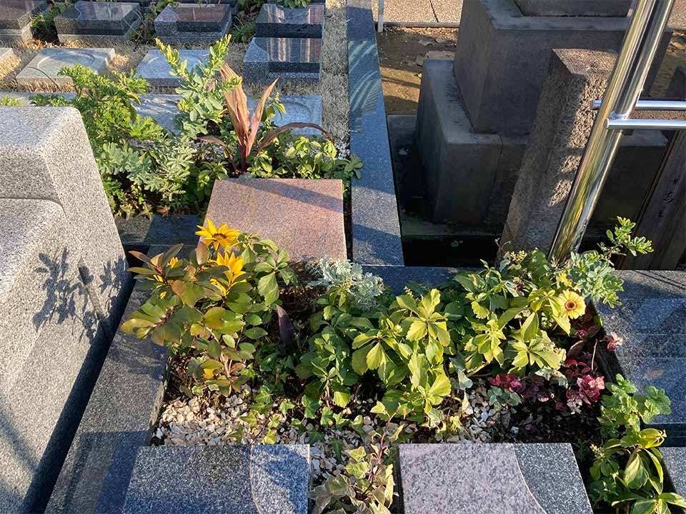 プレミアム西巣鴨まごころ樹木葬墓地