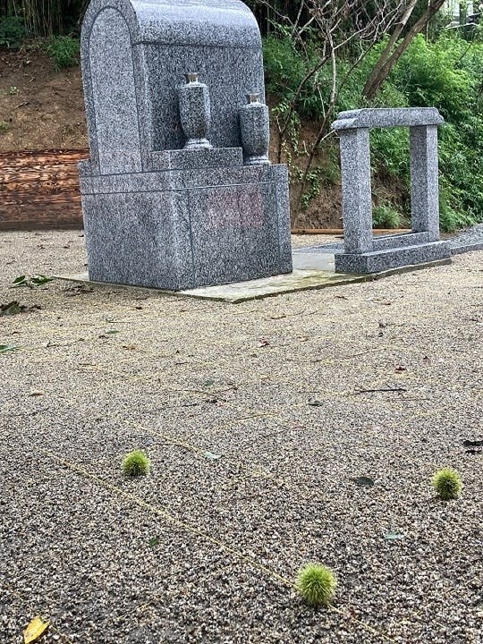 自然に還る樹木葬 「里の丘」