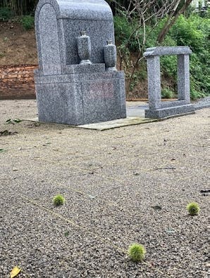 自然に還る樹木葬 「里の丘」