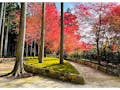 櫟野寺 樹木葬 櫟苑 紅葉に彩られた「櫟苑」全景