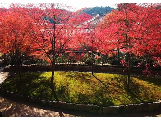 櫟野寺 樹木葬 櫟苑