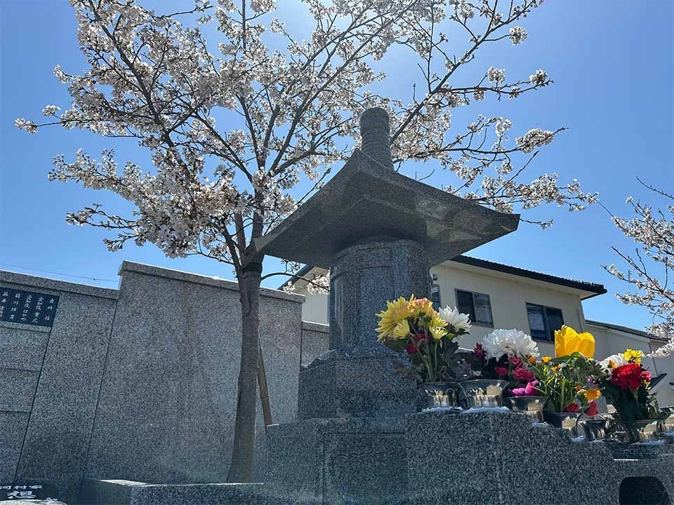 長浜さくらの杜