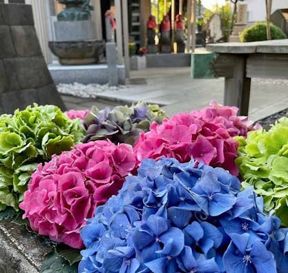 台東区谷中永代供養・樹木葬霊園 観音寺