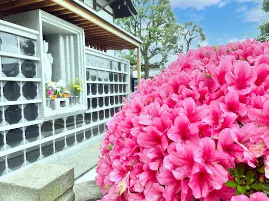 台東区谷中永代供養・樹木葬霊園 観音寺