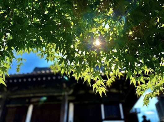 台東区谷中永代供養・樹木葬霊園 観音寺