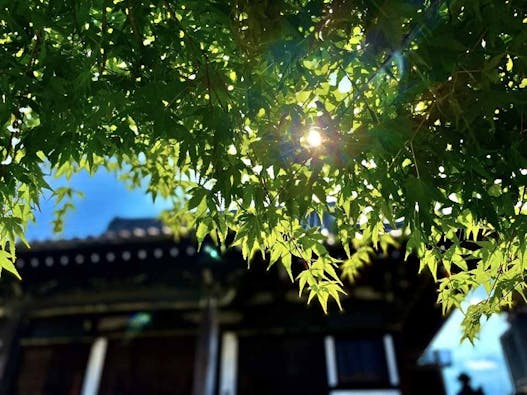 台東区谷中永代供養・樹木葬霊園 観音寺