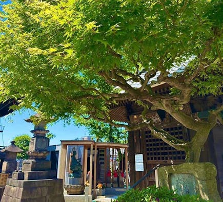 台東区谷中永代供養・樹木葬霊園 観音寺