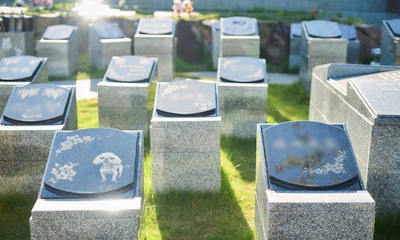 石巻上品樹木葬