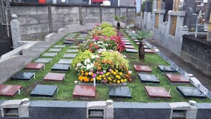 プレミアム茅ヶ崎湘南の空樹木葬墓地の画像