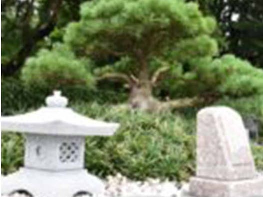 新所沢友愛聖地苑 樹木葬 ~愛逢~(めであい)