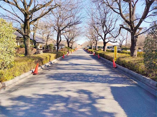 新所沢友愛聖地苑 樹木葬 ~愛逢~(めであい)