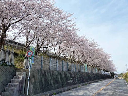 成龍寺【愛久の丘】