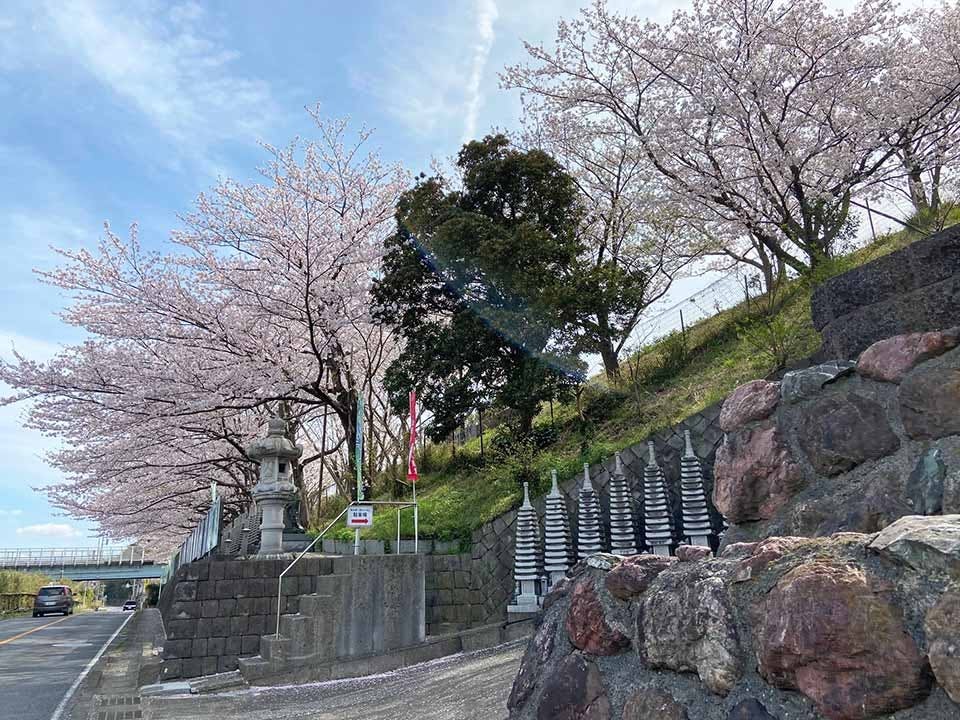 成龍寺 樹木葬【愛久の丘】(千葉県)の概要・価格・アクセス｜千葉の 