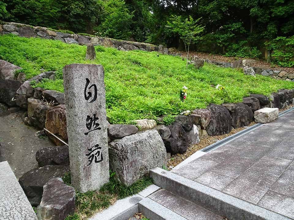 東福寺 即宗院 自然苑の画像