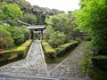 東福寺 即宗院 自然苑 近隣風景