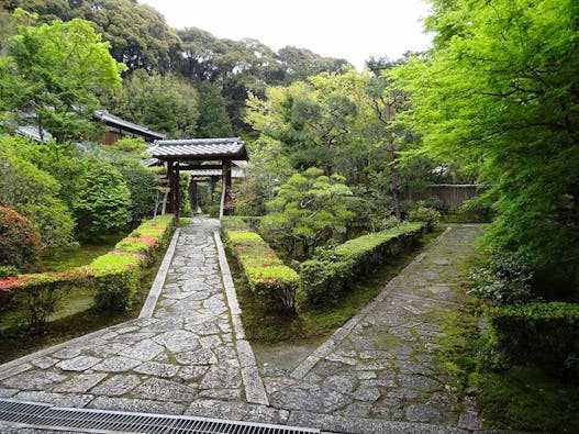 東福寺 即宗院 自然苑