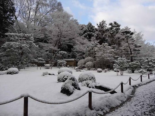 東福寺 即宗院 自然苑