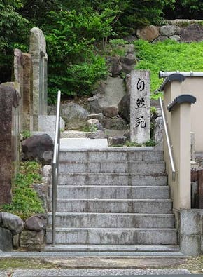 東福寺 即宗院 自然苑