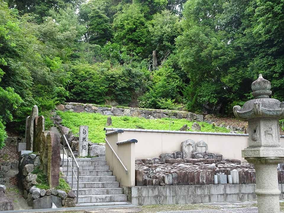 東福寺 即宗院 自然苑
