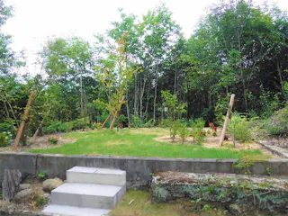 花樹散骨葬（散骨型樹木葬）