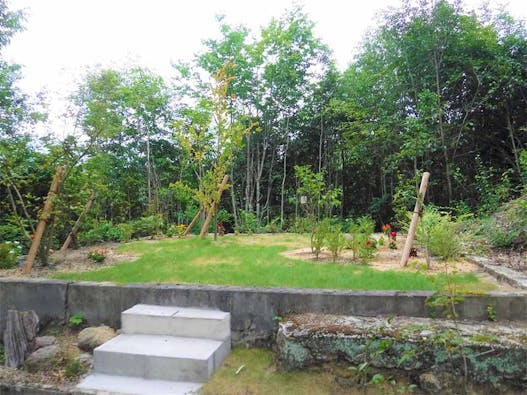 花樹散骨葬(散骨型樹木葬)