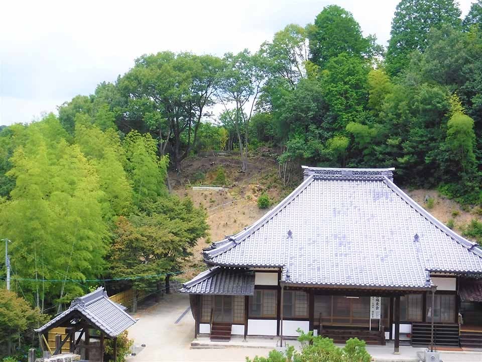 花樹散骨葬(散骨型樹木葬)