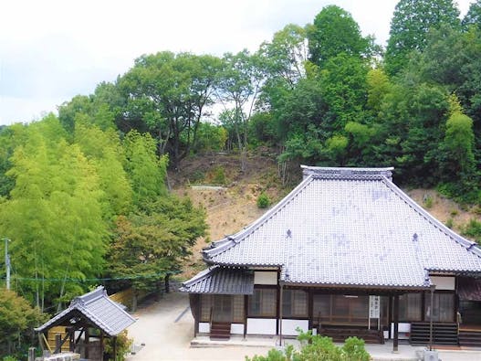 花樹散骨葬（散骨型樹木葬）