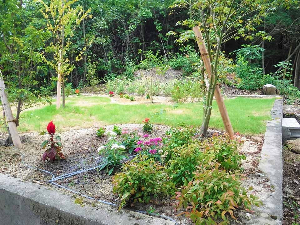 花樹散骨葬(散骨型樹木葬)