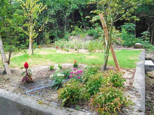 花樹散骨葬(散骨型樹木葬)