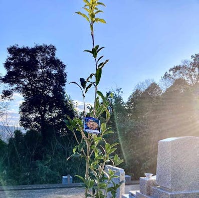 グリーンガーデン津山