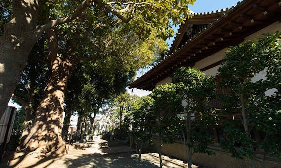 横浜・三ッ沢のお寺　陽光院