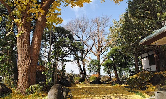 横浜・三ッ沢のお寺　陽光院