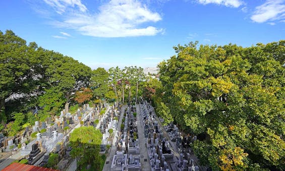 横浜、三ッ沢のお寺 陽光院