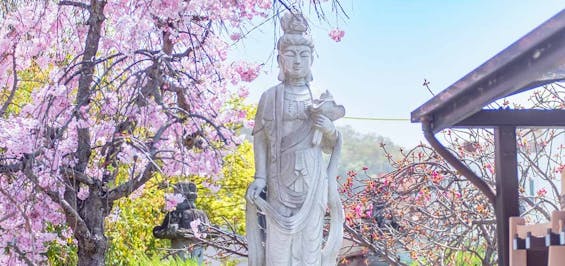 法華寺 永代供養墓・樹木葬