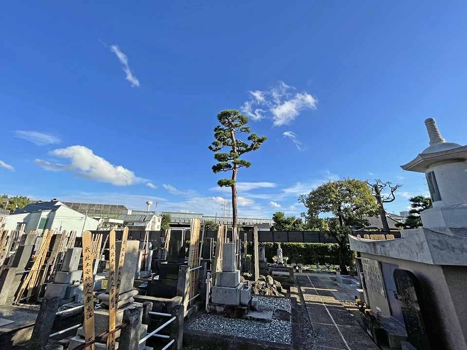 世田谷樹木葬墓地